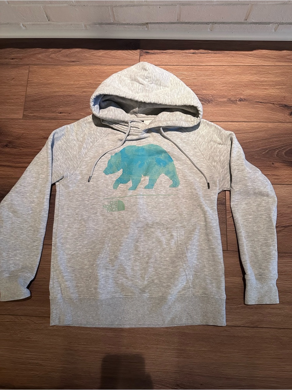 The North Face Heather Gray Hoodie with Teal Blue Bear Graphic